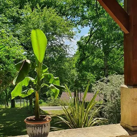 Maison Calme Au Coeur Du Perigord Noir - 3 Holiday home Le Bugue